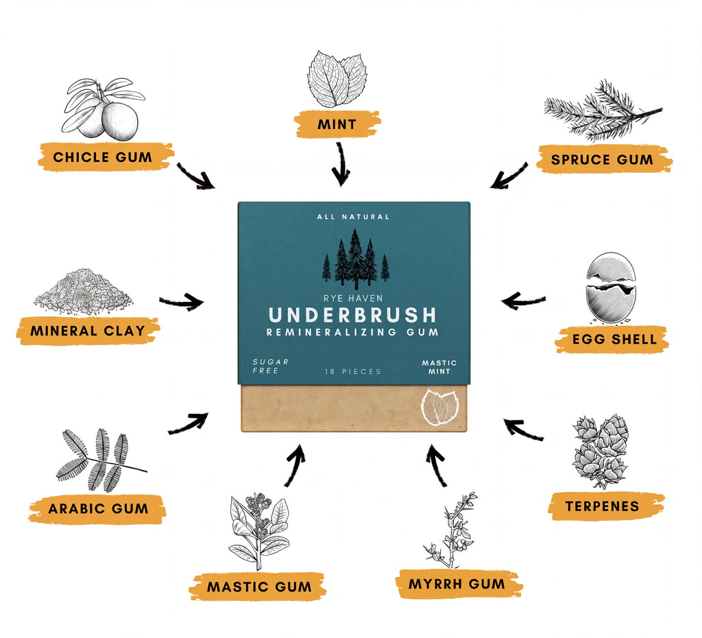 Remineralizing Gum - Variety Pack