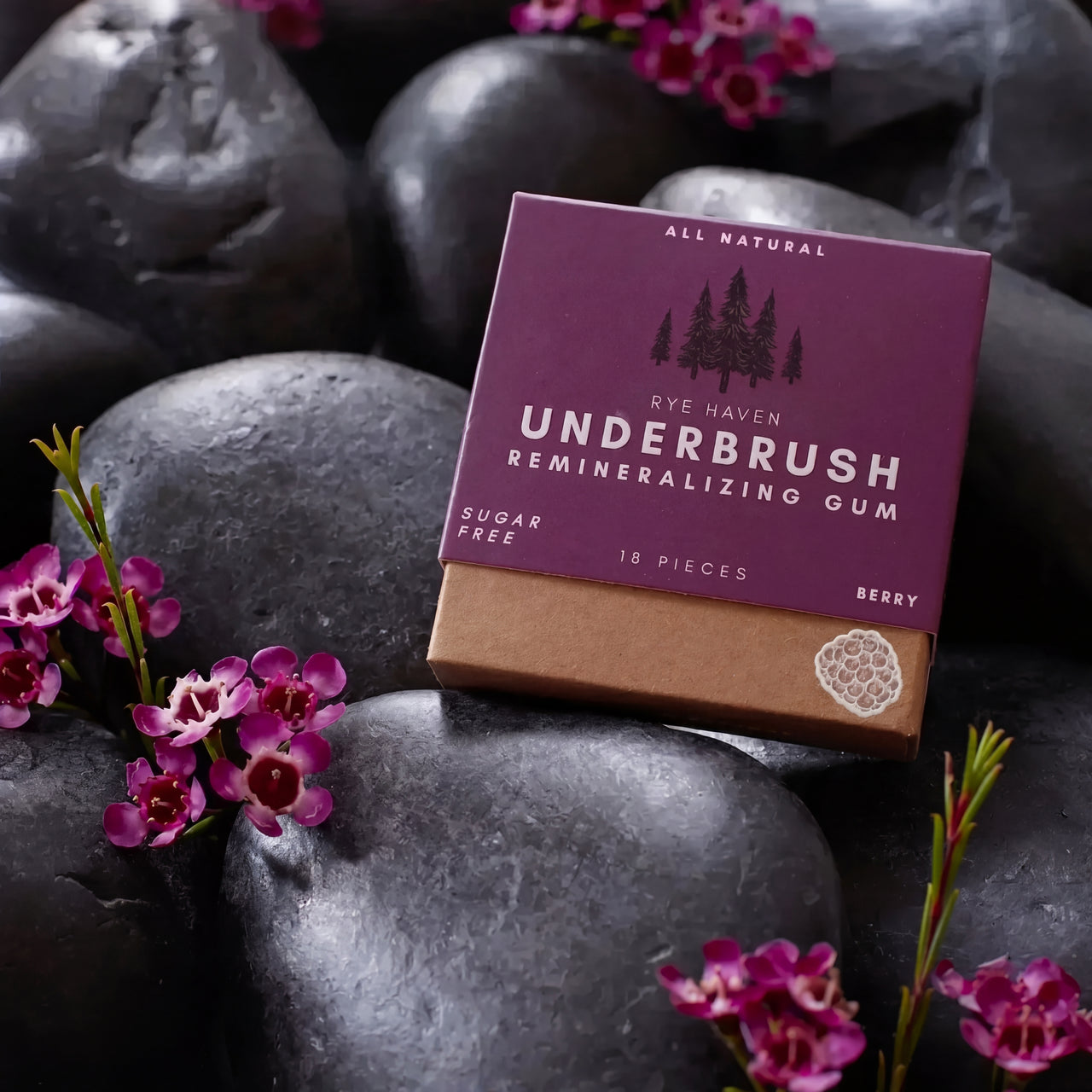Remineralizing Gum - Variety Pack